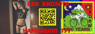 крисы Нальчик