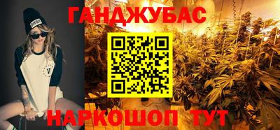 крисы Нальчик