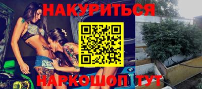 крисы Нальчик