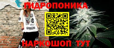 крисы Нальчик