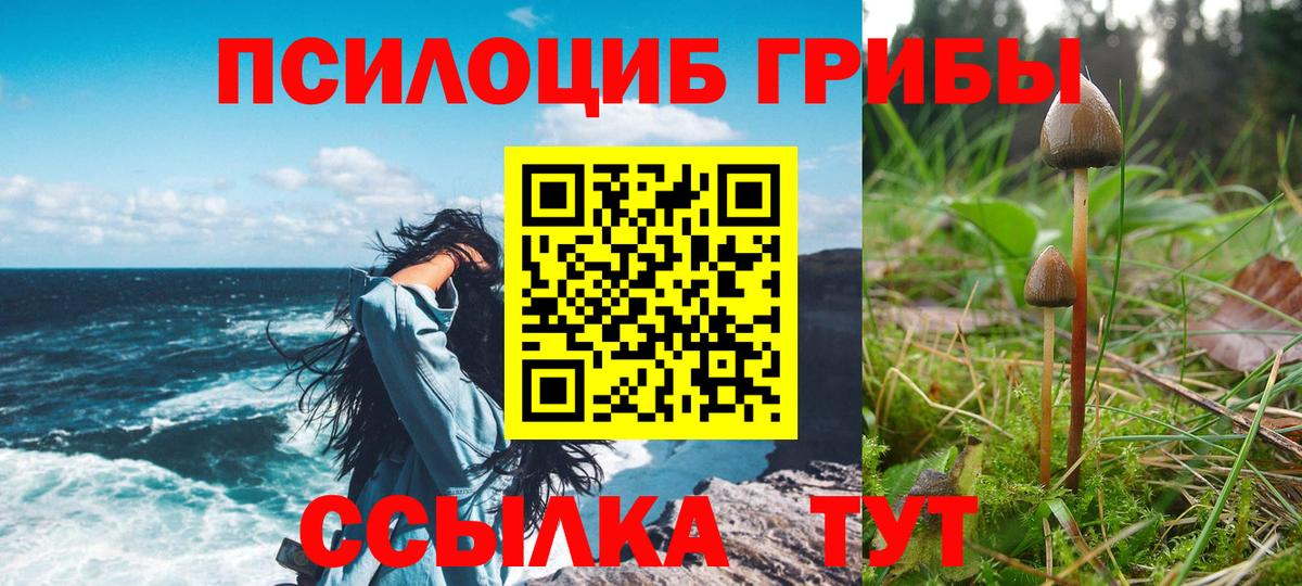 Псилоцибиновые грибы Cubensis  Псилоцибиновые грибы Cubensis  наркошоп  Вход с VPN  Северобайкальск 
